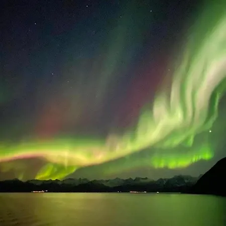 Дом отдыха Senja, Botnhamn *