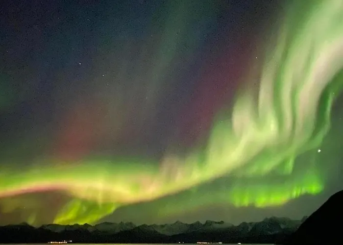 Semesterbostad Senja, Botnhamn *